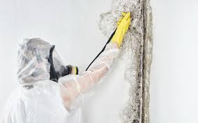 Forensic Mold Investigation